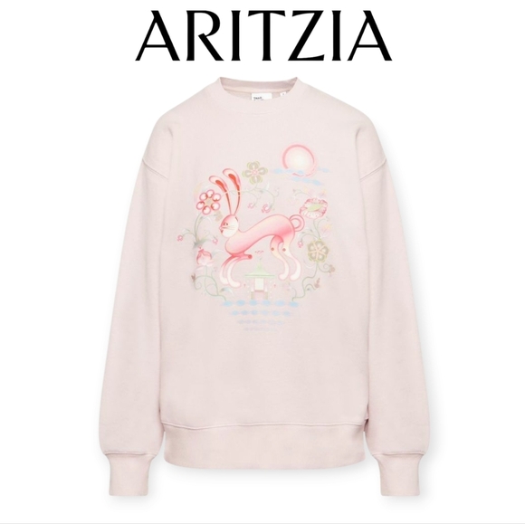 Aritzia Tops - Aritzia TNA Year of the Rabbit Sweatfleece Hoodie 2XS Pale Pink Boyfriend Fit
